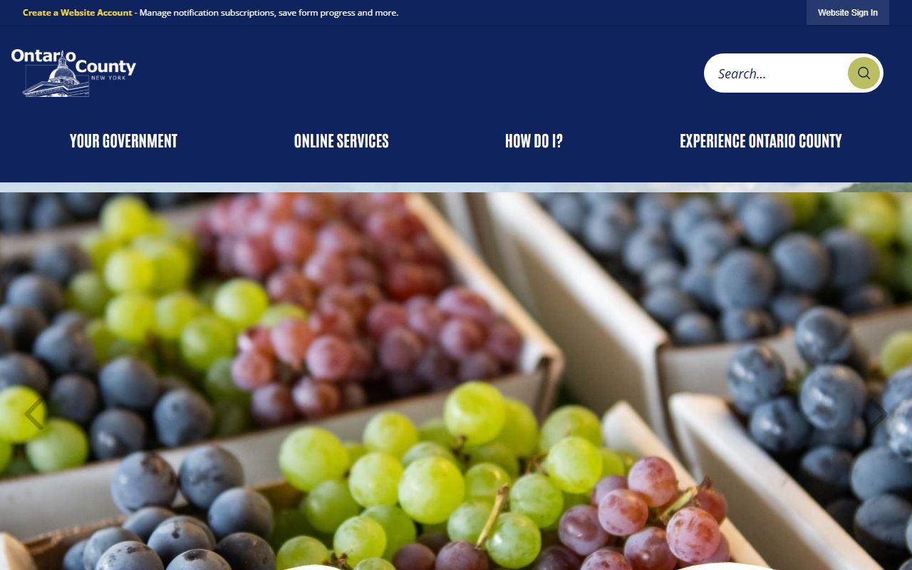 Ontario County government website for traffic ticket records information